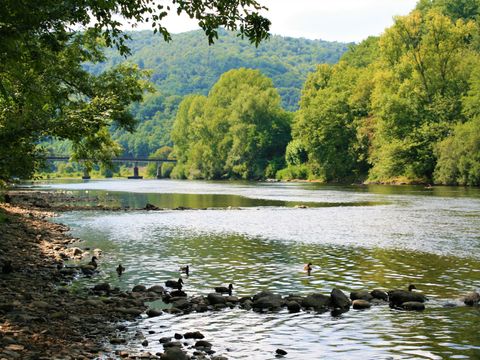 Camping Au Soleil d'Oc - Camping Corrèze - Image N°57