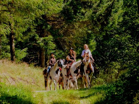 Camping Au Soleil d'Oc - Camping Corrèze - Image N°28