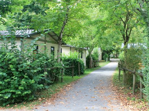 Camping Au Soleil d'Oc - Camping Corrèze - Image N°61