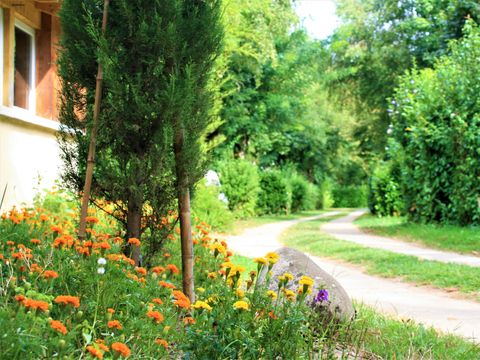 Camping Au Soleil d'Oc - Camping Corrèze - Image N°54