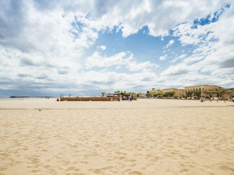 Camping Le Mas des Lavandes - Camping Hérault - Image N°54