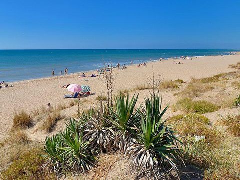 Camping Le Mas des Lavandes - Camping Hérault - Image N°51