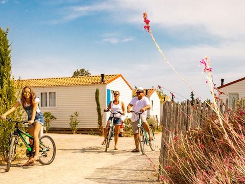 Camping Le Mas des Lavandes - Camping Hérault - Image N°49