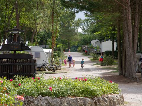 Flower Camping Le Pressoir - Camping Gironde - Image N°13