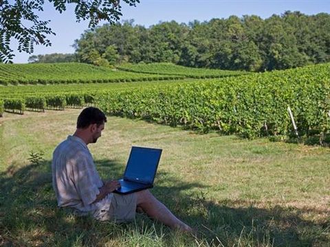 Flower Camping Le Pressoir - Camping Gironde - Image N°17