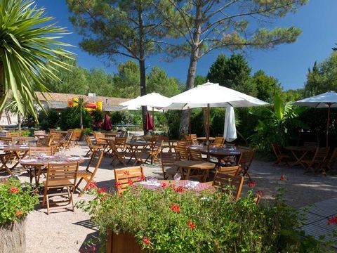 Camping Paradis - Le Pressoir   - Camping Gironde - Image N°8