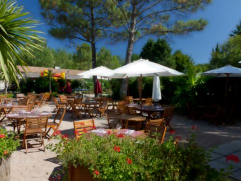 Camping Paradis - Le Pressoir   - Camping Gironde - Image N°21