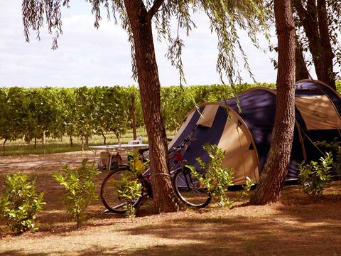 Flower Camping Le Pressoir - Camping Gironde - Image N°22