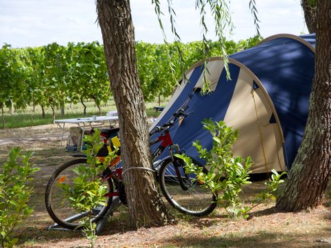 Camping Paradis - Le Pressoir   - Camping Gironde - Image N°23