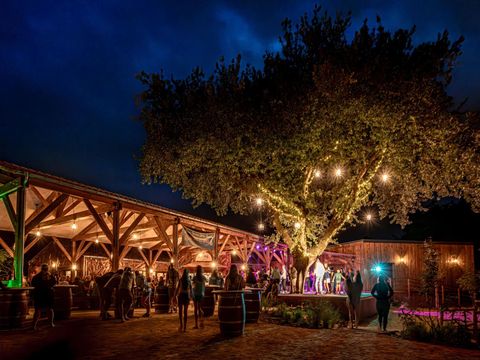 Flower Camping Au Bois des Biches - Camping Vendée - Image N°24