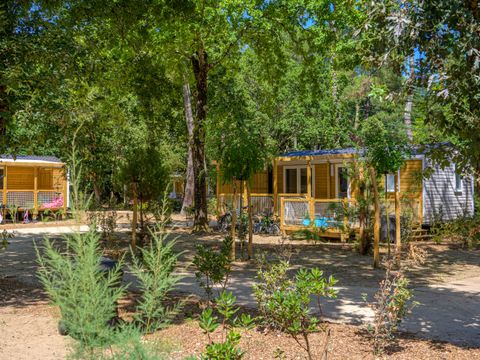 Flower Camping Au Bois des Biches - Camping Vendée - Image N°83