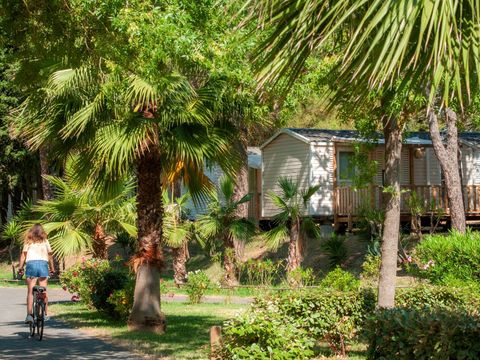 Camping Les 7 Fonts - Camping Hérault - Image N°3