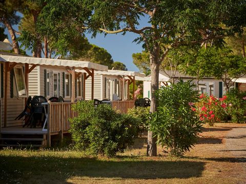 Camping Domaine d'Anghione - Camping Corse du Nord - Image N°14
