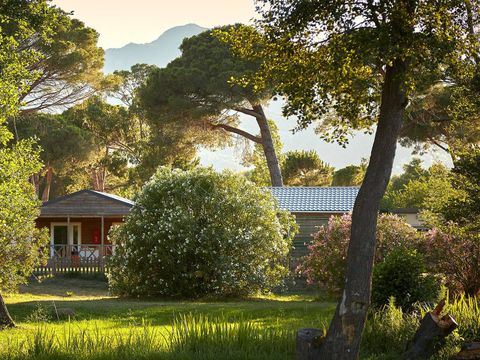 Camping Domaine d'Anghione - Camping Corse du Nord - Image N°7