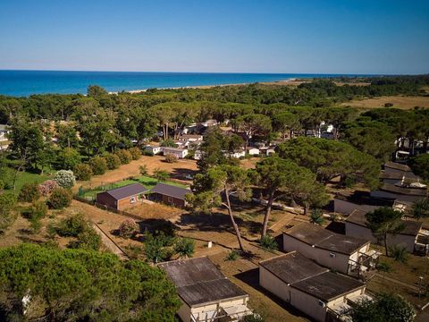 Camping Domaine d'Anghione - Camping Corse du Nord - Image N°17