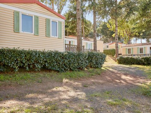 Camping Odalys La Pinède - Camping Hérault - Image N°8
