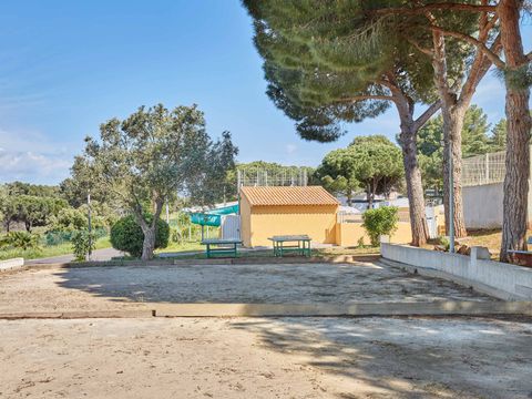 Camping Odalys La Pinède - Camping Hérault - Image N°6