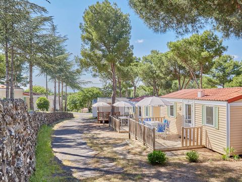 Camping Odalys La Pinède - Camping Hérault - Image N°13
