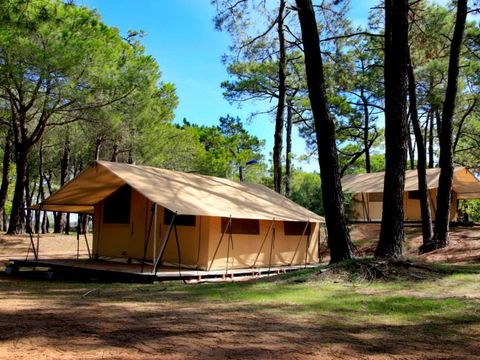 Tente en toile et en bois 4 personnes - Tente Toile & Bois, sans sanitaires