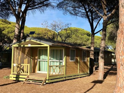 CHALET 5 personnes - Basik