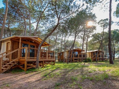 BUNGALOW TOILÉ 4 personnes - Cottage Panoramik - 2 chambres