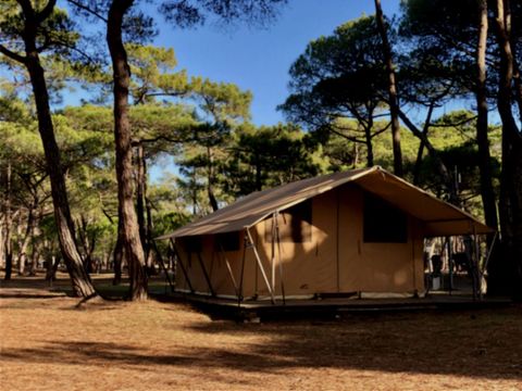 Tente en toile et en bois 4 personnes - Tente Toile & Bois, sans sanitaires