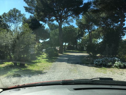 Camping 123 Sud Vacances - Camping Hérault - Image N°5