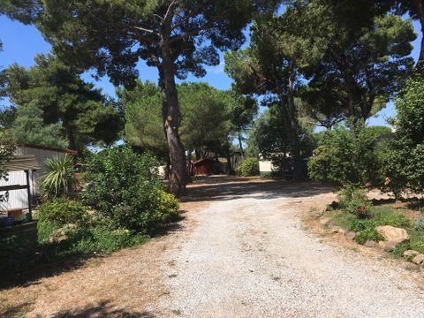 Camping 123 Sud Vacances - Camping Hérault - Image N°7