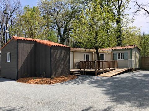 Camping La Forêt - Camping Vendée - Image N°25