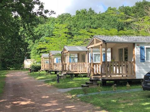 Camping La Foret - Camping Vendée - Image N°48