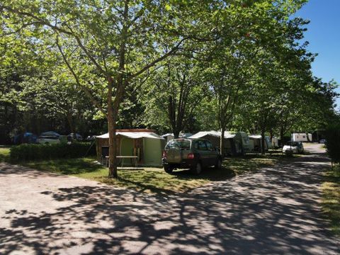 Camping La Forêt - Camping Vendée - Image N°8