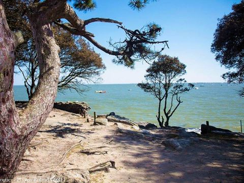 Camping La Foret - Camping Vendée - Image N°29