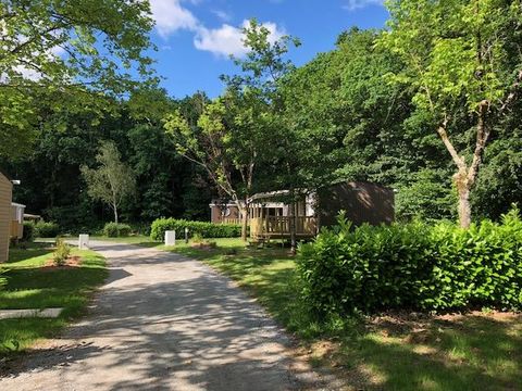 Camping La Forêt - Camping Vendée - Image N°11