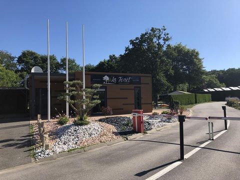 Camping La Forêt - Camping Vendée - Image N°10