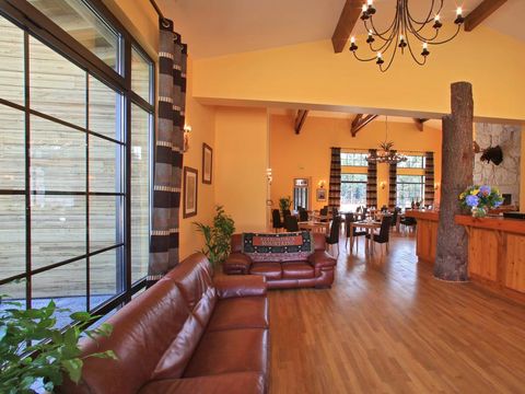 Camping Albirondack Park Lodge And Spa - Camping Tarn - Image N°9