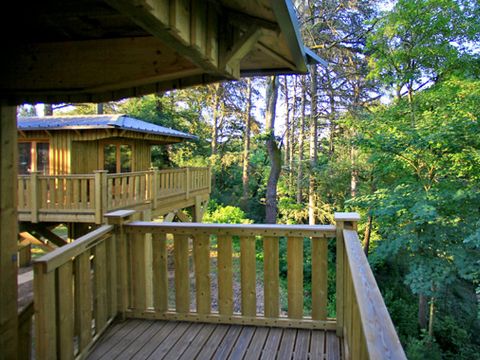 HÉBERGEMENT INSOLITE 4 personnes - Cabane "dans les arbres"