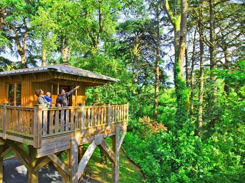 Hébergement 4 personnes - Cabane "dans les arbres"