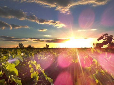 Camping Albirondack Park Lodge And Spa - Camping Tarn - Image N°26