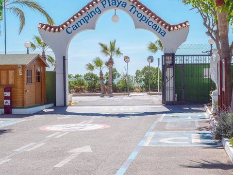 Camping Playa Tropicana - Camping Castellón - Image N°13