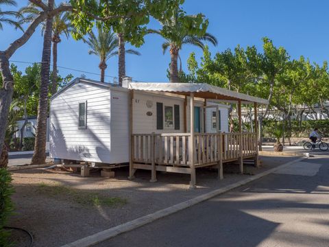 Camping Playa Tropicana - Camping Castellón - Image N°22