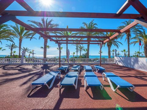 Camping Playa Tropicana - Camping Castellón - Image N°8