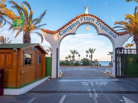 Camping Playa Tropicana - Camping Castellón - Image N°6
