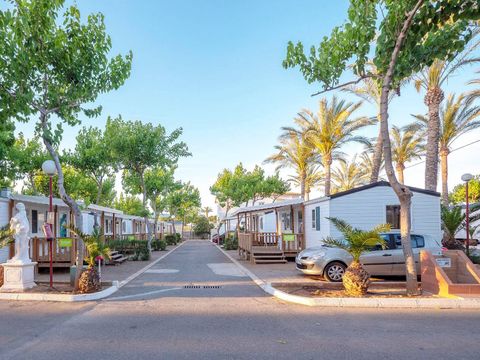 Camping Playa Tropicana - Camping Castellón - Image N°12