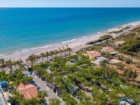 Camping Playa Tropicana - Camping Castellón - Image N°3