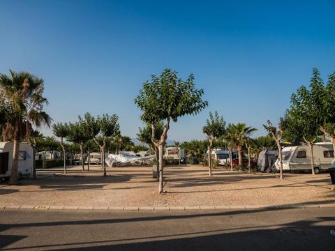 Camping Almafra - Camping Alicante - Image N°47