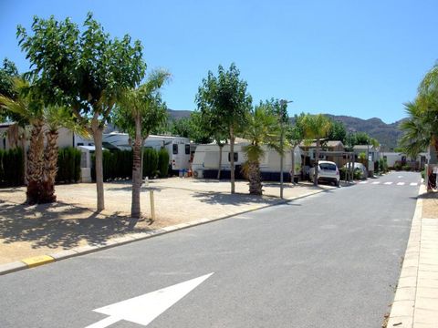 Camping Almafra - Camping Alicante - Image N°24
