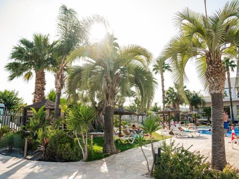 Camping Almafra - Camping Alicante - Image N°17