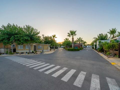 Camping Almafra - Camping Alicante - Image N°13