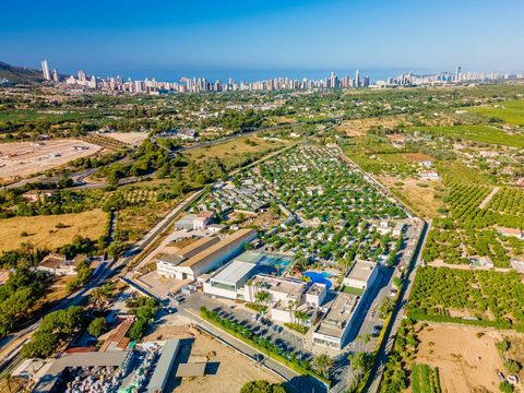 Camping Almafra - Camping Alicante - Image N°3