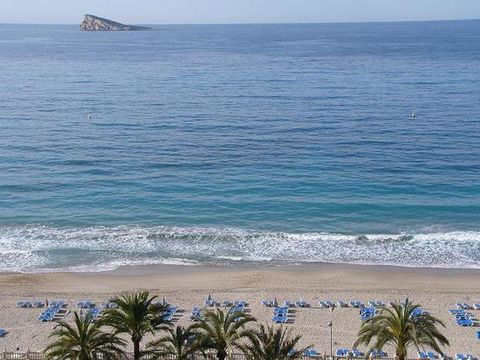 Camping Armanello - Camping Alicante - Image N°29